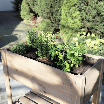 Holz Hochbeet Pflanzkasten Garten Pflanzbeet Gemüse Kräuter Beet Kräuterbeet